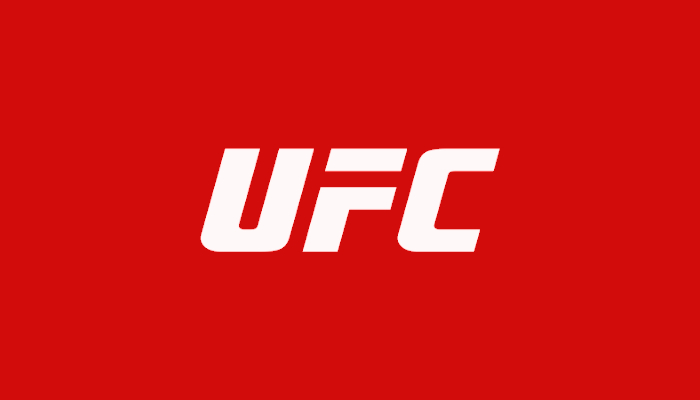UFC 294