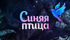 Концерт Дениса Мацуева