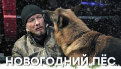 Пес. Новорічне диво