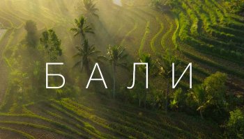 Большой выпуск с Антоном Птушкиным