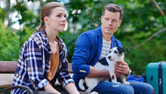 Воспитание и выгул собак и мужчин