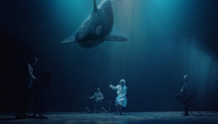 The Hardkiss — «Косатка»