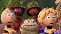 Бджілка Майя і Кубок меду