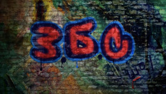 ЗБС шоу Ивлеевой