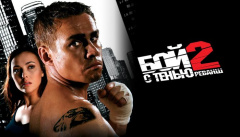 Бой с тенью 2: Реванш