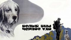 Белый Бим Черное ухо