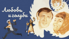 Любовь и голуби