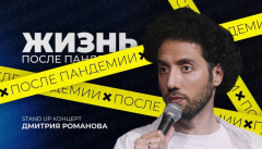 Концерт Дмитрия Романова