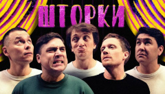 Шторки