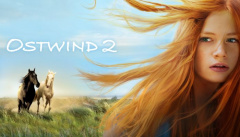 Восточный ветер 2