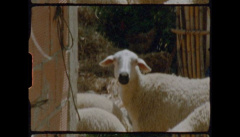 Zivert — «Тебе»