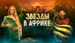 Звёзды в Африке
