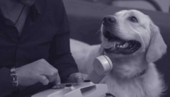 Океан Ельзи — «На лінії вогню»