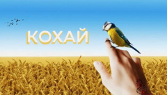 TamerlanAlena — «Кохай»