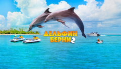 Дельфин Берни 2