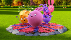 Сонячні зайчики