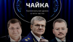 Чайка - фильм Навального