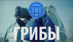 Грибы — «Тает лед»